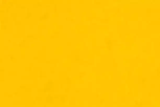 Welcome to test vandy 1mth paddle